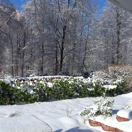 Apartament Haus Am Wald Hillscheid Zewnętrze zdjęcie