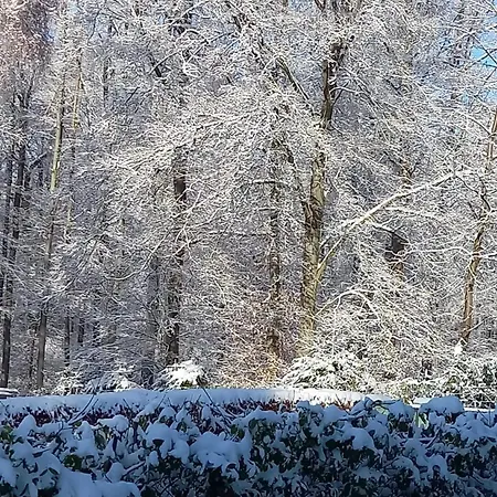 Apartament Haus Am Wald Hillscheid Zewnętrze zdjęcie