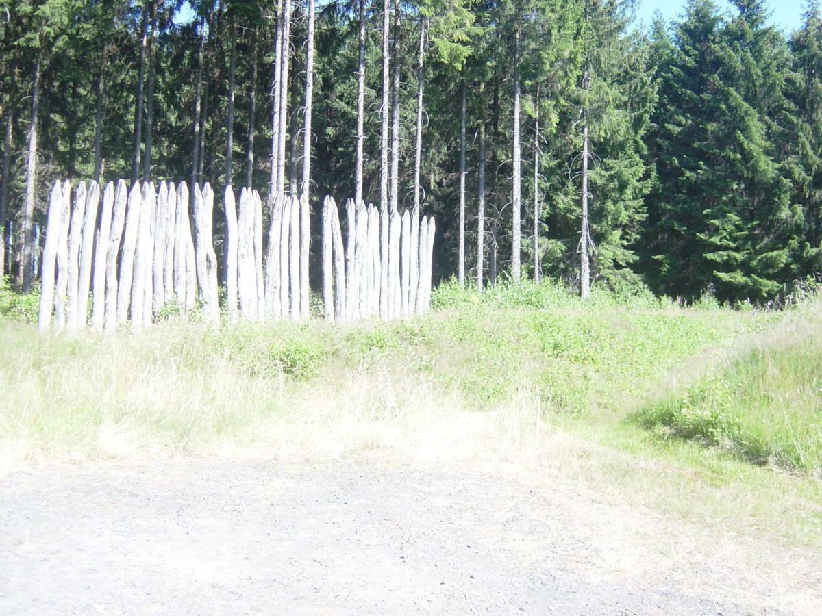 Apartment Haus Am Wald