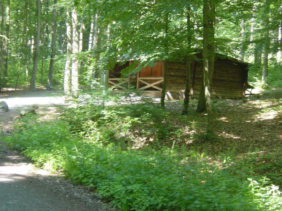 Haus Am Wald Hillscheid